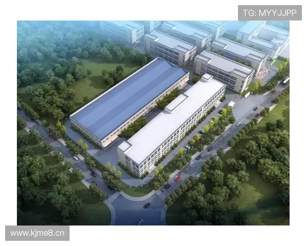 建德企业家创新精神助力地方经济发展探索与未来机遇分析 建德企业家创新精神助力地方经济发展探索与未来机遇分析