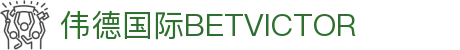 伟德国际BETVlCTOR(官方)APP下载安装IOS/安卓通用版